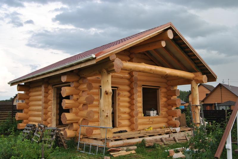 Частный дом, Ваганов парк, цвет Кедр 2010