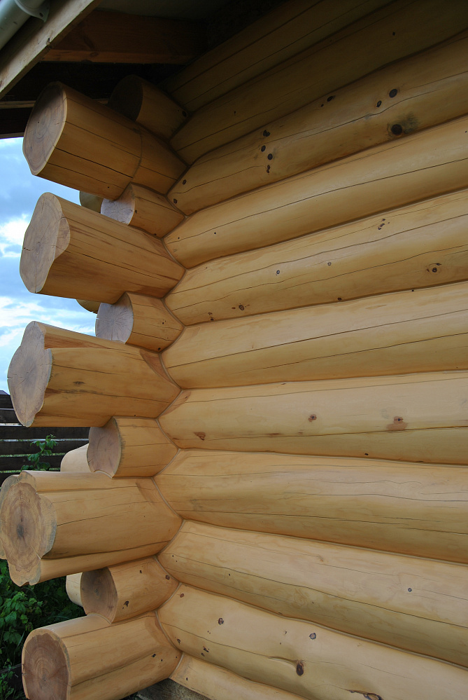 Частный дом, Ваганов парк, цвет Кедр 2010