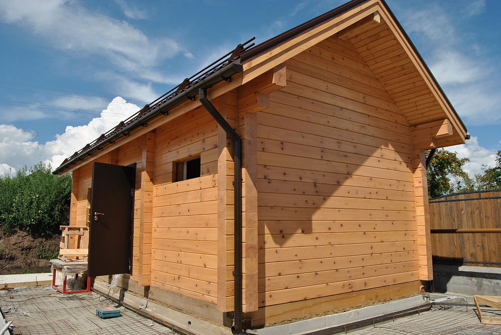 Баня и дом, с. Ленинское, цвет Сосна 2058